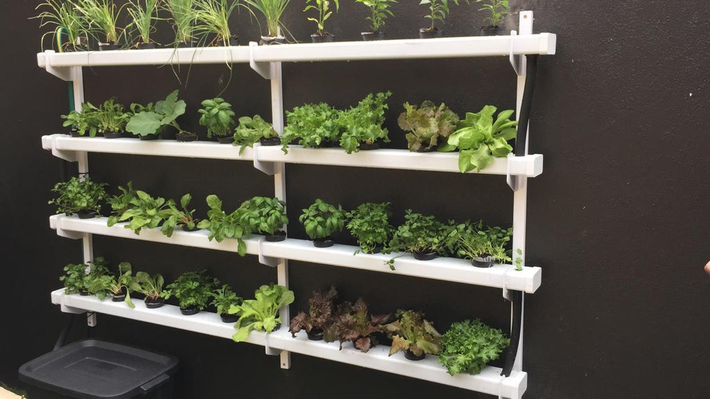 2M Hydroponic NFT Wall-Mounting System