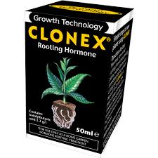 Clonex 50ml