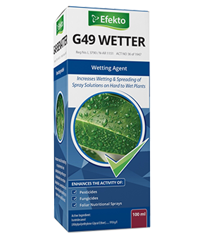 G49 Wetter 100ml